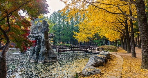 Visit Nami Island for its stunning landscapes and cultural attractions