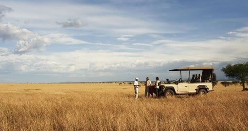 Game Drive on the plains of the Serengeti