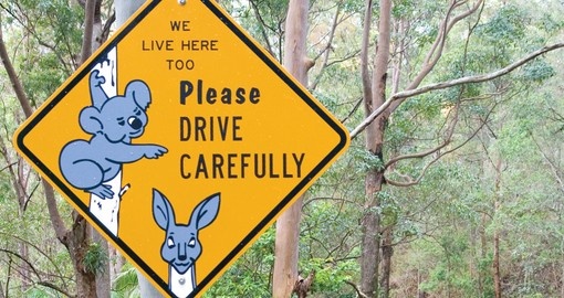 Signs "Keep an eye out for the locals" will cheer you up during your Australia vacations.