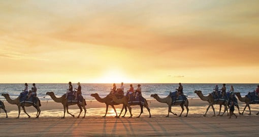 A Sunset Camel Ride in Broome is a great inclusion on Australia vacations.