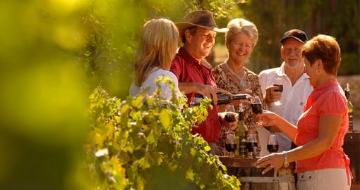 Group drinking wine at vineyard