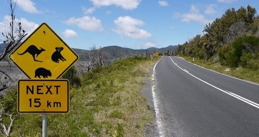 You will see road signs belongs only to Australia on your drive.