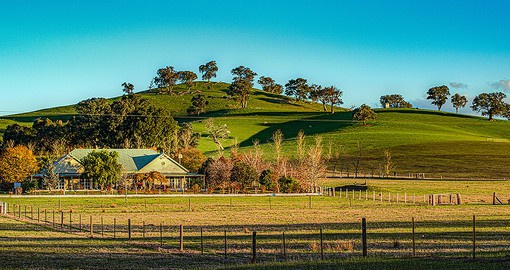 The picturesque Yarra Valley is home to many of Australia's finest wineries