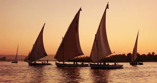 Felucca's on the Nile River at sunset are always a great photo opportunity during your Egypt vacation.