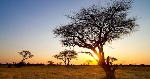 Enjoy the sunset in Hwange National Park on your next Zimbabwe vacations.