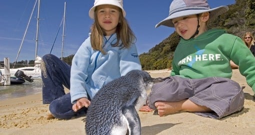 Discover wildlife encounter on your next trip to New Zealand.