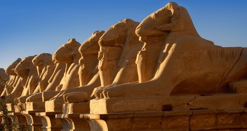Sphinxes in Luxor temple