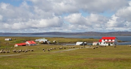 Contryside Falkland Islands