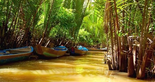 Mekong Delta has recently been dubbed a 'biological treasure trove" and is a great addition to your Vietnam vacation.
