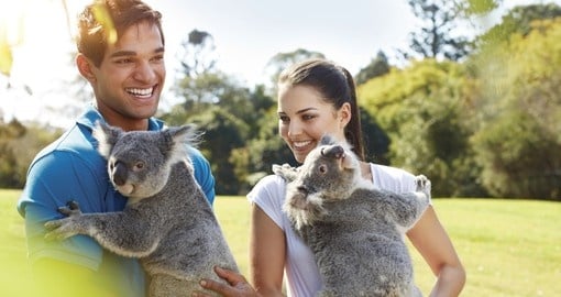 Your Australia vacation includes a visit to Lone Pine Koala Sanctuary in Brisbane.