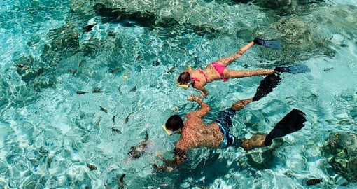Enjoy the unique snorkeling experience in pristine water on your trip