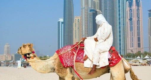 Dubai beach and camel