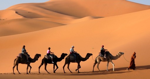 Camel caravan through the Sahara