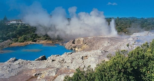 Visit New Zealand's Geothermal center in Rotorua for nature in its purest form during one of your Tours of New Zealand.