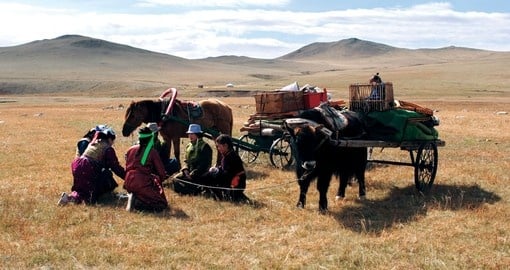 Transporting goods across the steppe