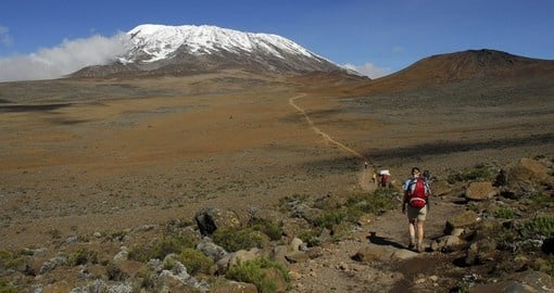 On the slopes of Mount Kilimanjaro