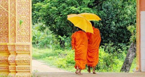 Monks walking morning alms in An Giang