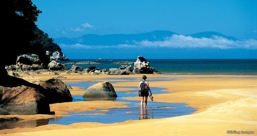 Discover Onetahuti beach on your New Zealand Vacation