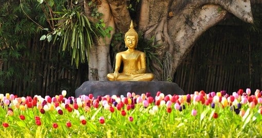 Meditation Buddha statue under a Bodhi tree
