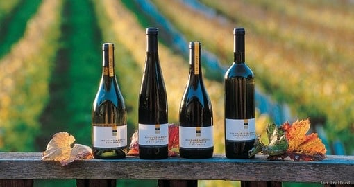 The Nelson area is famous for its New Zealand wines and should an included destination on all New Zealand tours.