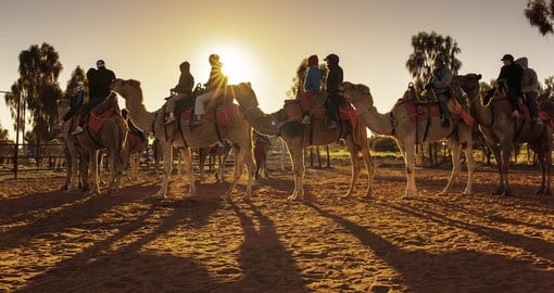 Join a group and trek to Ayers Rock in the morning by camel on your Australia Vacation