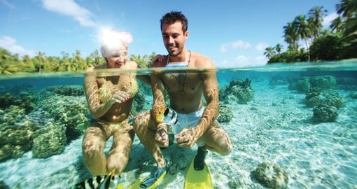 Explore Coral Gardens and enjoy its beautiful during your next Tahiti vacations.