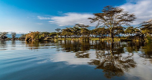 On the edge of the Great Rift Valley, Lake Naivasha is home to numerous bird species
