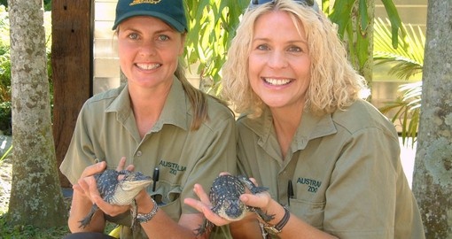 Travel on the Croc Express to Australia Zoo from either Brisbane or the Gold Coast as part of your Australian Vacation