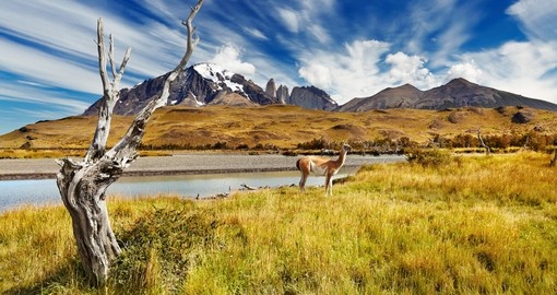 Hike beautiful Torres del Paine National Park on your Chile Vacation