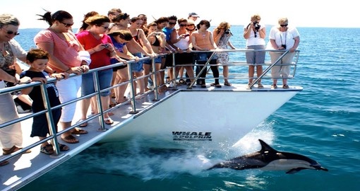 Take a catamaran cruise through the Hauraki Gulf Marine Park and spot wildlife during your New Zealand Vacation