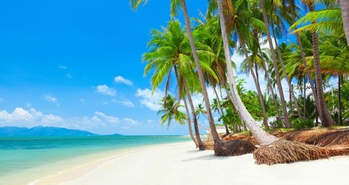 Koh Samui is Thailand's second largest island after Phuket and is a great inclusion for all Thailand tours.