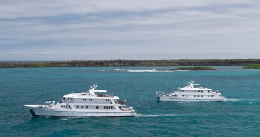 MV Coral I Coral I and II - Sister ships in the Galapagos