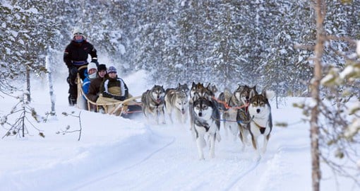 See the Huskies in action while visiting Finland