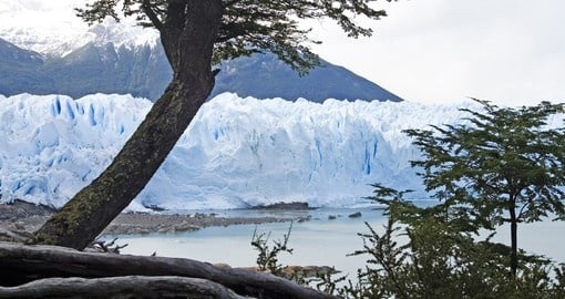 Perito Moreno Glacier is a great photo opportunity during your El Calafate Vacation