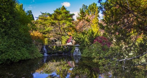Visit the exotic and lush Botanical Gardens in Hobart city