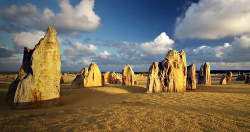 The Pinnacles in the Western Australian desert are visited on your Australian tours