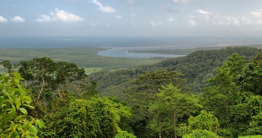 Find adventure in Daintree National Park on your Australia Vacation