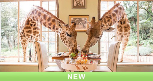 Dine with the locals at Giraffe Manor