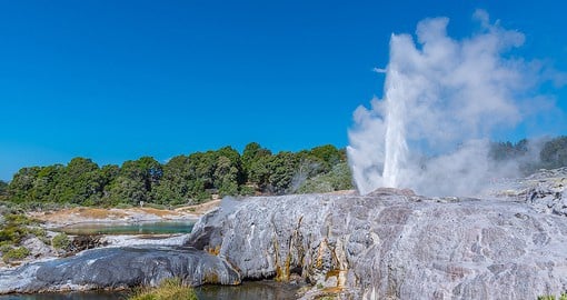 Enjoy the breathtaking view of Rotorua, an area well known for its geothermal activity and geysers