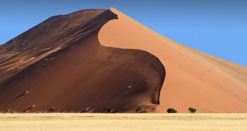 Continue your Namibia safari with a visit to the Sossusvlei Dunes, the tallest in the world