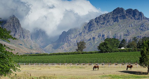 Producing world-class wine, the Cape Winelands boast a magnificent setting
