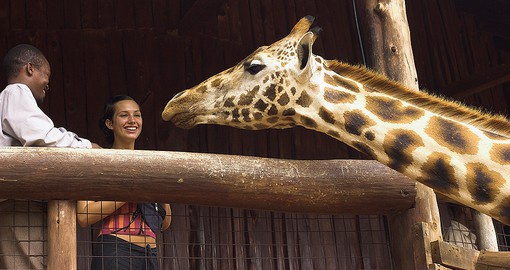 Founded in 1979, the Giraffe Center protects the vulnerable animals of the grasslands