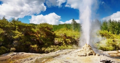 Experience New Zealand's geothermal activity at Rotorua on your trip