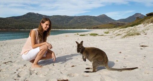 Explore Wineglass Bay in Tasmania on your next Australia tours.