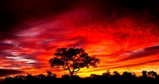 An African sunset in Kruger National Park is a sight to behold on all South African safaris.