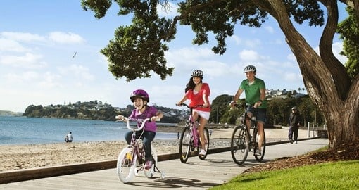 Experience boardwalk Cycling during your next trip to New Zealand.