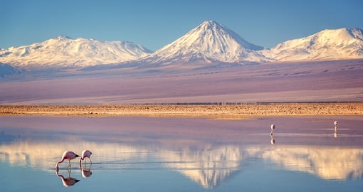 Salar de Atacama is the largest salt flat in Chile and one of the driest places on Earth