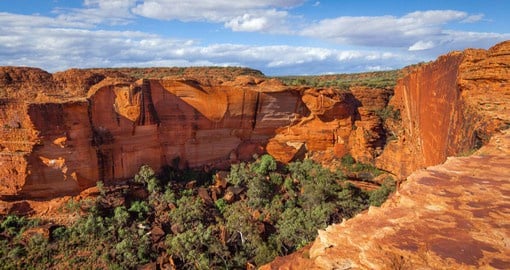Explore the red walls of Kings Canyon rise 100 metres from dense gum forests