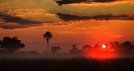 Sunrise above the misty Delta grasslands is always a great photo opportunity on all Botswana safaris.