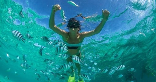 Snorkelling in the Indian Ocean